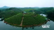 Nghệ An chấm dứt dự án du lịch hơn 1.500 tỷ đồng 'ngủ im' suốt 9 năm