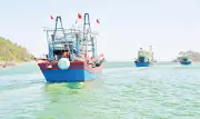 Nghệ An: Chống khai thác IUU hiệu quả, giảm vi phạm vùng biển nước ngoài