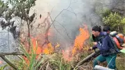 Nghệ An: Hàng trăm người chữa cháy rừng ở xã Thiên Nhẫn, lửa bùng phát trở lại