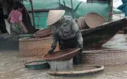 Nghề đãi hến sông La: Vất vả nhưng mang lại thu nhập ổn định cho người dân Hà Tĩnh