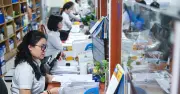 Nghị định 232 quy định chi tiết vị trí việc làm và bậc nghề nghiệp viên chức