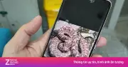 Người đàn ông bị rắn cắn nhờ bình tĩnh sơ cứu, bác sĩ khen ngợi