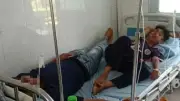 Người đàn ông tử vong do ăn nấm rừng, con trai nguy kịch