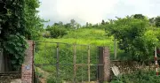 Người phụ nữ bất ngờ hơn 2.600m2 đất có nhà ở bị ghi là đất vườn