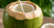 Người tiểu đường có nên uống nước dừa? Lưu ý quan trọng