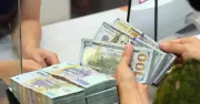 Ngân hàng Nhà nước khuyến cáo phòng ngừa ngoại tệ giả trong giao dịch