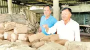 Ngành gạch gốm Vĩnh Long khủng hoảng vì thiếu đất sét trầm trọng