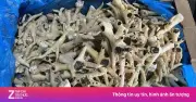 Nguy cơ sức khỏe từ chân gà ôi thiu và tẩy trắng hóa chất
