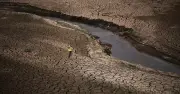 Nguy cơ 'Siêu El Nino' năm nay: Cảnh báo khẩn từ LHQ và WMO