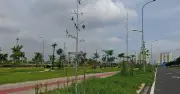 Nguy cơ từ cây xanh chết khô tại công viên Thuận Kiều và đường Nguyễn Thị Thập