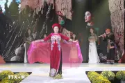 Ngày hội văn hóa Việt Nam tại Karlovy Vary thu hút đông đảo người dân Séc