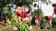Ngày Môi trường thế giới 2026: Hành động vì khí hậu không chỉ là lời nói