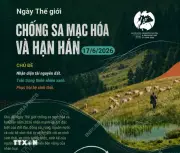 Ngày Thế giới chống sa mạc hóa và hạn hán: Nhận diện, trân trọng và phục hồi