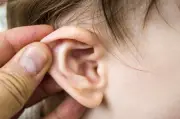Nhà nuôi nhiều thú cưng, bé gái bị bọ chét chui vào tai ký sinh