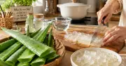 Nha đam có thực sự làm sạch ruột và thải độc? Chuyên gia giải đáp