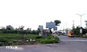 Nhận diện thủ đoạn lợi dụng đấu giá đất để lừa đảo tại Hà Nội