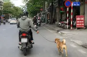 Những câu hỏi điểm liệt trong bài thi lý thuyết sát hạch lái xe phần 3