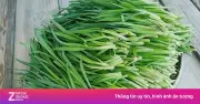 Những tác dụng của lá hẹ với sức khỏe ít người biết