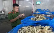 Nhập chân gà để xuất khẩu nhưng bán ra thị trường nội địa