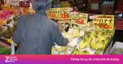 Nhật Bản đối mặt nguy cơ thiếu chuối do xung đột Trung Đông
