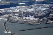Nhật Bản tiếp tục tháo dỡ nhiên liệu hạt nhân tại nhà máy Fukushima số 1