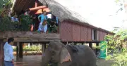 Nỗi lo nhà dài Tây nguyên mất dần cả 'xác' lẫn 'hồn'