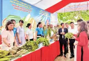 Ninh Bình: Hội phụ nữ đẩy mạnh chuyển đổi số, gần 5.000 hội nghị tập huấn