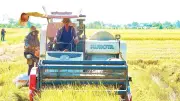 Ninh Bình: Mô hình cánh đồng công nghệ giúp nông dân giảm chi phí, tăng năng suất