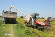 Ninh Bình thắng lợi vụ lúa xuân nhờ ứng dụng khoa học kỹ thuật