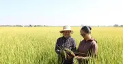 Năm 2026: Khởi động giai đoạn mới các chương trình mục tiêu quốc gia