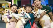 'Nền kinh tế bốn chân' Việt Nam trị giá hàng trăm triệu USD