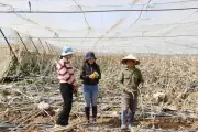 Nén nỗi đau lên sóng: Nhà báo Thu Hằng và hành trình hòa nhập sau sáp nhập tỉnh