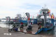 Đà Nẵng đưa cẩu phá vỡ thép 30 tấn vào hoạt động