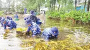 Nâng cao hiệu quả phòng ngừa, ứng phó thiên tai: Giải pháp toàn diện
