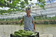 Nông dân ngủ 4 tiếng/đêm, thu lãi 300 triệu/năm từ vùng đất hoang