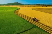 Nông dân thời trí tuệ nhân tạo: Cơ hội và thách thức