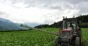 Nông dân thoát nghèo, kiếm hơn 5 tỷ đồng/năm nhờ trồng xà lách