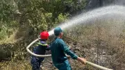 Đà Nẵng khống chế kịp thời vụ cháy rừng giữa thời tiết nắng nóng
