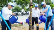 Đà Nẵng tiên phong xây dựng đô thị xanh, bền vững với nhiều hoạt động thiết thực