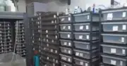 Nuôi 300 con rắn trong nhà: Người đàn ông Trung Quốc lĩnh án tù