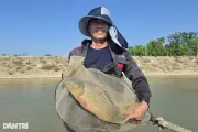 Nuôi cá lồng trên sông Lam, vợ chồng nông dân Nghệ An thu nhập ổn định