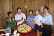 Đào Huồi Cỏ được mùa chưa từng thấy nhưng người trồng vẫn lo tiêu thụ