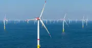 Petrovietnam đề xuất sửa luật Dầu khí, mở cơ chế cho điện gió ngoài khơi
