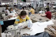 Phó Chủ tịch nước dự Lễ phát động phong trào thi đua lao động giỏi