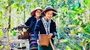 Phụ nữ Việt Nam chủ động tham gia chuyển đổi số và kinh tế xanh