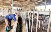 Phú Thọ chủ động phòng chống dịch bệnh trong mùa nắng nóng