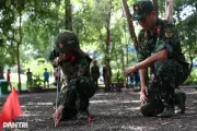 Phó Thủ tướng yêu cầu TPHCM báo cáo thực địa Công viên Lê Thị Riêng