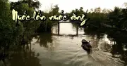 Phim ngắn 'Nước Lớn Nước Ròng' 2026: Hành trình tìm lại mẹ và tình người