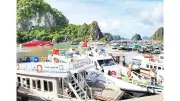 Phân cấp quản lý tàu cá, huy động 67,8 tỷ đồng nhân đạo tại Hải Phòng