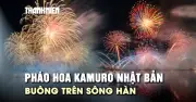 Pháo hoa Kamuro Nhật Bản buông trên sông Hàn mở màn đêm thi thứ ba DIFF 2026